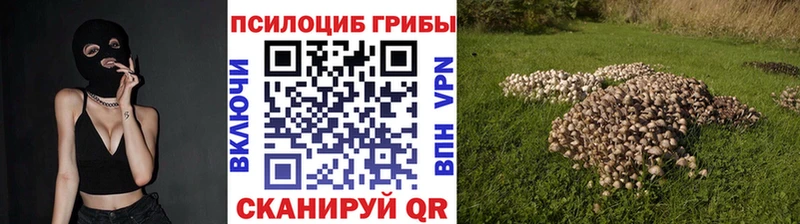 omg ссылки  Барабинск  Псилоцибиновые грибы Cubensis 