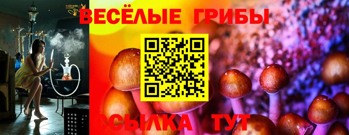 Псилоцибиновые грибы мицелий Барабинск